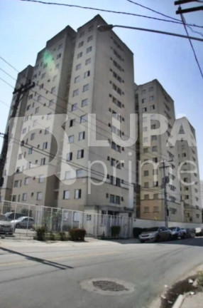Imagem Apartamento com 2 Quartos à Venda, 46 m² em Vila Guilherme - São Paulo