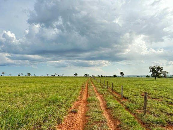 Imagem Fazenda à Venda, 5.793 m² em Rural - Nova Andradina Imagem Fazenda à Venda, 5.793 m² em Rural - Nova Andradina