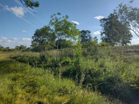 Imagem Terreno à Venda, 20.000 m² em Alto Perequê - Arroio Do Padre Imagem Terreno à Venda, 20.000 m² em Alto Perequê - Arroio Do Padre