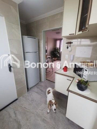 Imagem Apartamento com 2 Quartos à Venda, 74 m² em Jardim São Rafael - Campinas Imagem Apartamento com 2 Quartos à Venda, 74 m² em Jardim São Rafael - Campinas