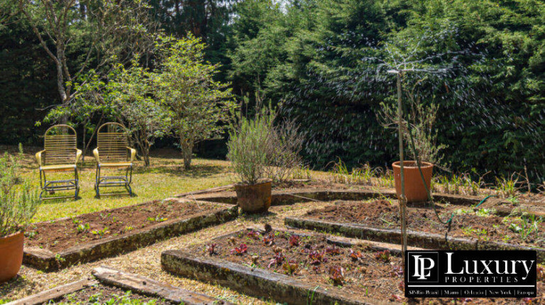 Imagem Casa com 6 Quartos à Venda,  em Campos Do Jordão