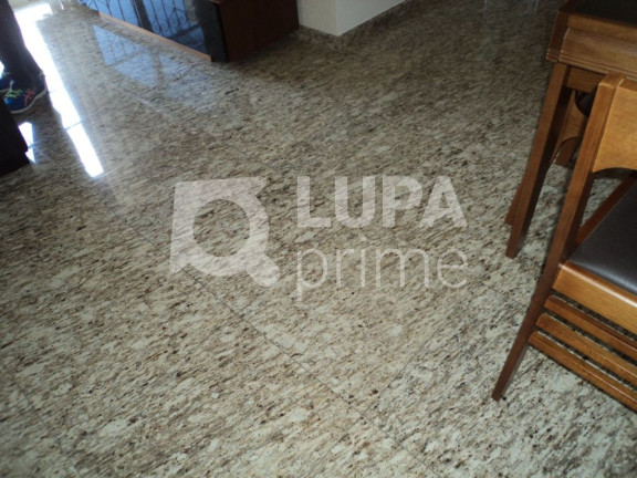 Imagem Apartamento com 3 Quartos à Venda, 60 m² em Lauzane Paulista - São Paulo Imagem Apartamento com 3 Quartos à Venda, 60 m² em Lauzane Paulista - São Paulo