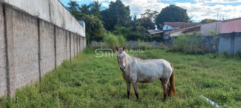 Imagem Imóvel à Venda, em Vila Zélia - Lorena Imagem Imóvel à Venda, em Vila Zélia - Lorena