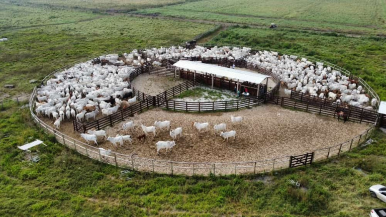 Fazenda à Venda, 4.460.000 m² em Bairros Da Pernambucana - São José Dos Campos
