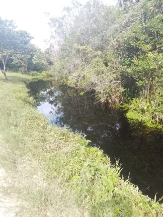 Imagem Chácara com 2 Quartos à Venda, 3.900 m² em Estãncia Rio Negro - Itanhaém Imagem Chácara com 2 Quartos à Venda, 3.900 m² em Estãncia Rio Negro - Itanhaém