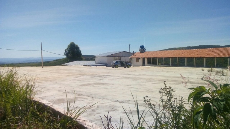 Imagem Imóvel à Venda,  em Centro - Pouso Alegre