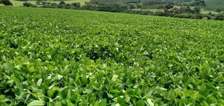 Imagem Chácara à Venda, em Centro - Itamogi Imagem Chácara à Venda, em Centro - Itamogi