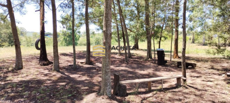 Imagem Imóvel com 2 Quartos à Venda, 20.000 m² em Reserva - Morro Redondo