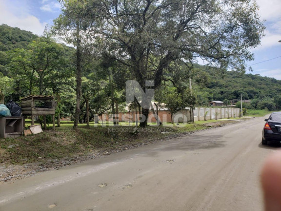 Imóvel à Venda,  em Sertão Do Trombudo