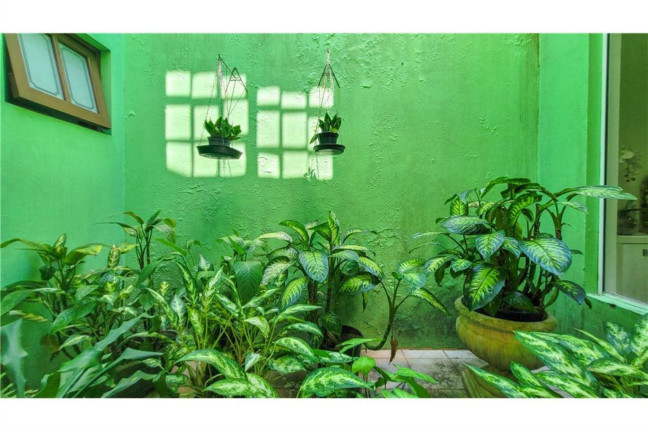 Imagem Casa com 3 Quartos à Venda, em Jardim Itu - Porto Alegre Imagem Casa com 3 Quartos à Venda, em Jardim Itu - Porto Alegre