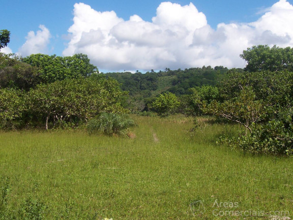 Imagem Chácara à Venda, 400.000 m² em Aritaguá - Ilhéus Imagem Chácara à Venda, 400.000 m² em Aritaguá - Ilhéus