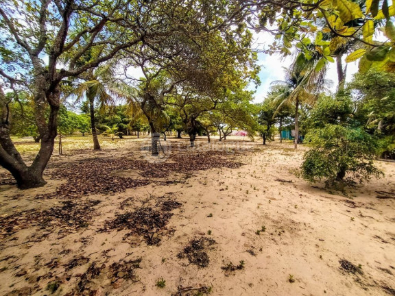 Imagem Fazenda à Venda, 6.400 m² em Pium - Nísia Floresta Imagem Fazenda à Venda, 6.400 m² em Pium - Nísia Floresta