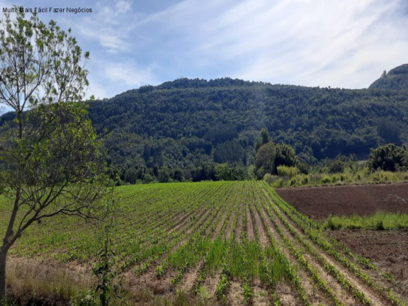 Terreno à Venda, 8 m² em Linha Temerária - Nova Petrópolis