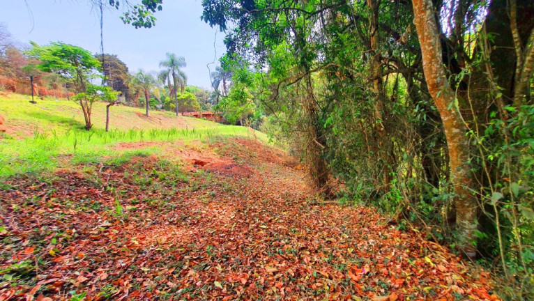 Imagem Imóvel à Venda, 557 m² em Loteamento Bosque Dos Palmares - Atibaia Imagem Imóvel à Venda, 557 m² em Loteamento Bosque Dos Palmares - Atibaia