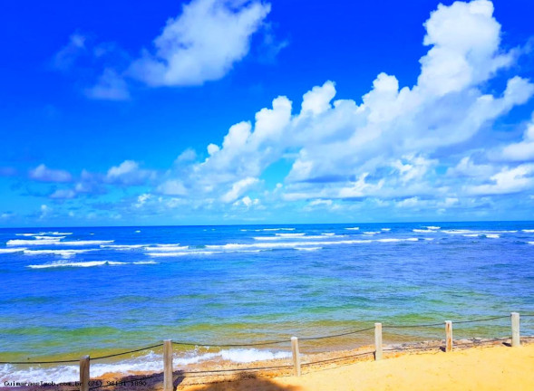 Imagem Casa com 5 Quartos à Venda, 427 m² em Praia Do Forte - Mata De São João Imagem Casa com 5 Quartos à Venda, 427 m² em Praia Do Forte - Mata De São João