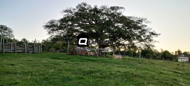 Imagem Imóvel com 1 Quarto à Venda, 230.000 m² em Santo Amor - Morro Redondo