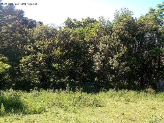 Imagem Terreno à Venda, 3.500 m² em Piá - Nova Petrópolis Imagem Terreno à Venda, 3.500 m² em Piá - Nova Petrópolis