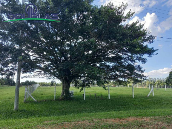 Imagem Terreno à Venda,  em Viamão