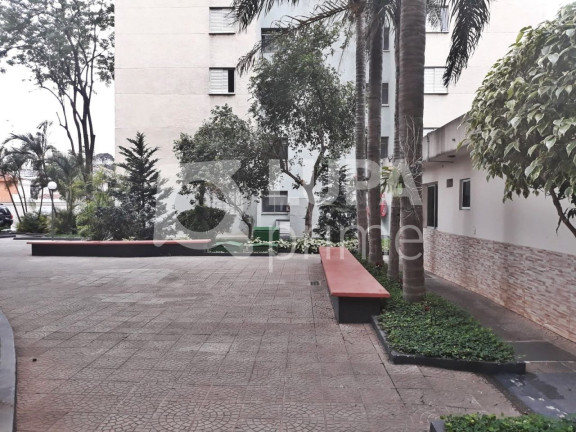 Imagem Apartamento com 3 Quartos à Venda, 61 m² em Vila Guilherme - São Paulo