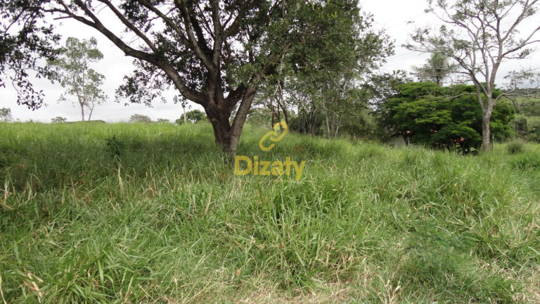 Fazenda à Venda,  em Zona Rural - Paraopeba