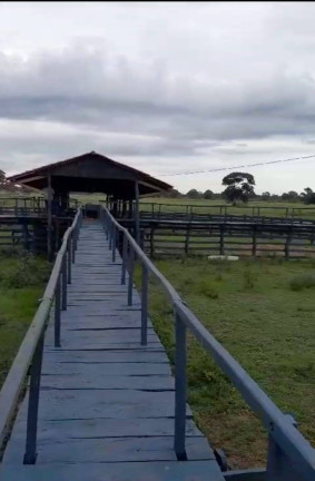 Fazenda à Venda, 8 m² em Poconé