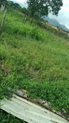 Terreno à Venda, 350 m² em Vila Atlântica - Mongaguá