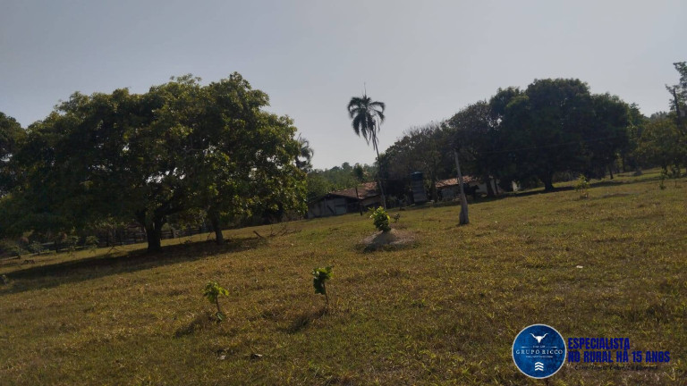 Imagem Chácara à Venda, 20 m² em Zona Rural - Morro Agudo De Goiás Imagem Chácara à Venda, 20 m² em Zona Rural - Morro Agudo De Goiás