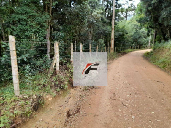 Imagem Chácara com 3 Quartos à Venda, 20.000 m² em Colônia Malhada - São José Dos Pinhais Imagem Chácara com 3 Quartos à Venda, 20.000 m² em Colônia Malhada - São José Dos Pinhais