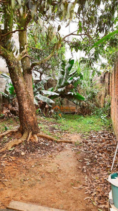 Imagem Sobrado com 4 Quartos à Venda, 100 m² em Parque Residencial Bambi - Guarulhos