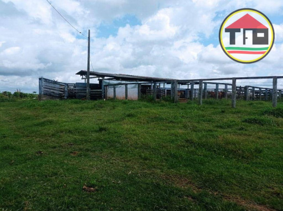 Imagem Fazenda à Venda, 16.456.000 m² em Zona Rural - Bom Jesus Do Tocantins