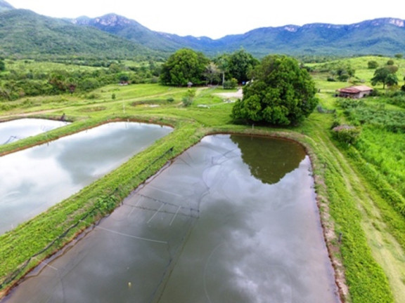 Imóvel à Venda,  em Monte Alegre De Goiás - Monte Alegre De Goiás