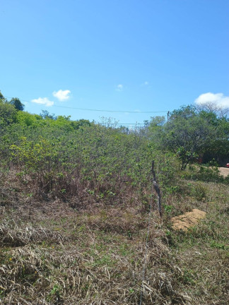 Imagem Terreno à Venda, 1.000 m² em Centro De Tibau Do Sul - Tibau Do Sul