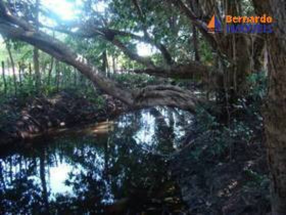 Imagem Chácara com 3 Quartos à Venda, 170 m² em Sitio Prata - Cascavel