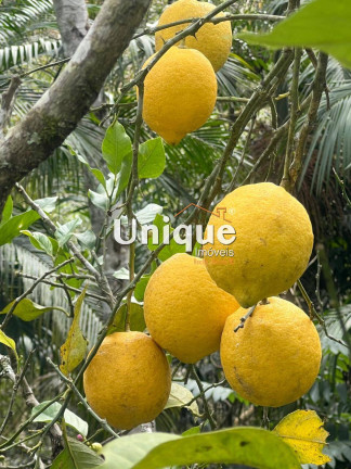Imagem Chácara com 5 Quartos à Venda, 500 m² em Mury - Nova Friburgo