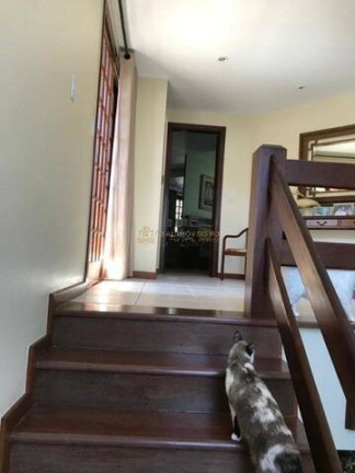 Imagem Casa com 5 Quartos à Venda, 630 m² em Anil - Rio De Janeiro Imagem Casa com 5 Quartos à Venda, 630 m² em Anil - Rio De Janeiro