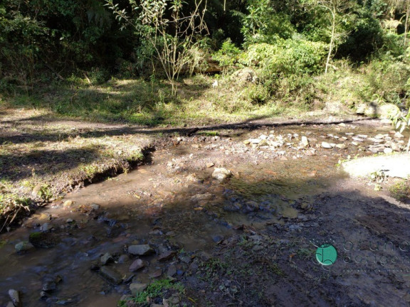 Imagem Imóvel à Venda,  em Zona Rural - Alfredo Wagner