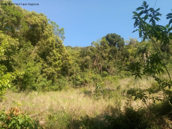 Imagem Terreno à Venda, 2 m² em Linha Temerária - Nova Petrópolis