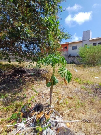 Imagem Terreno à Venda, 765 m² em Ponta Negra - Natal