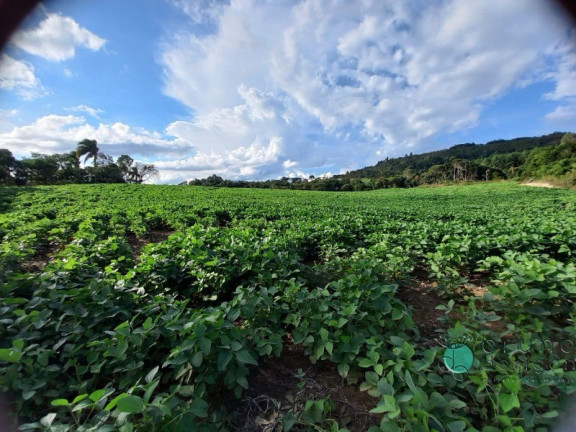 Imagem Imóvel à Venda, 170.000 m² em Zona Rural - Alfredo Wagner Imagem Imóvel à Venda, 170.000 m² em Zona Rural - Alfredo Wagner