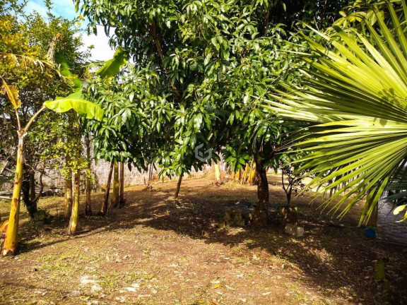 Imagem Casa com 3 Quartos para Alugar, 100 m² em Peruíbe