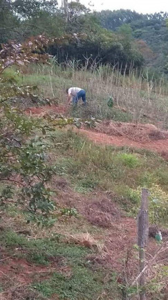 Imagem Chácara com 1 Quarto à Venda, 14 m² em Mato Dentro - São Luíz Do Paraitinga