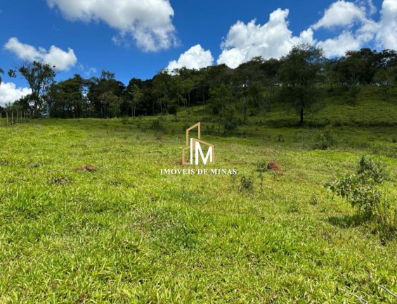 Imóvel com 5 Quartos à Venda, 840.000 m² em Zona Rural - Cláudio