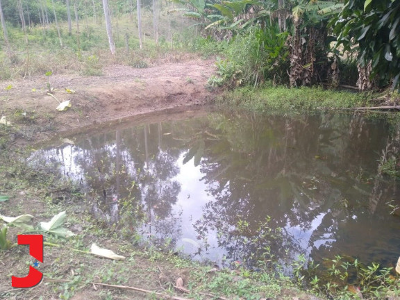 Imagem Fazenda à Venda, em . - Domingos Martins Imagem Fazenda à Venda, em . - Domingos Martins