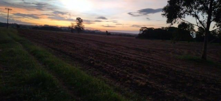 Imagem Chácara à Venda, 65 m² em Rural - Campina Do Monte Alegre Imagem Chácara à Venda, 65 m² em Rural - Campina Do Monte Alegre