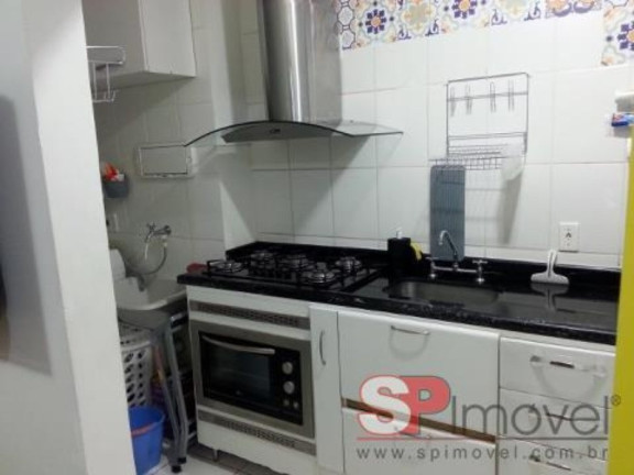Imagem Apartamento com 2 Quartos à Venda, 49 m² em Vila Palmeiras - São Paulo