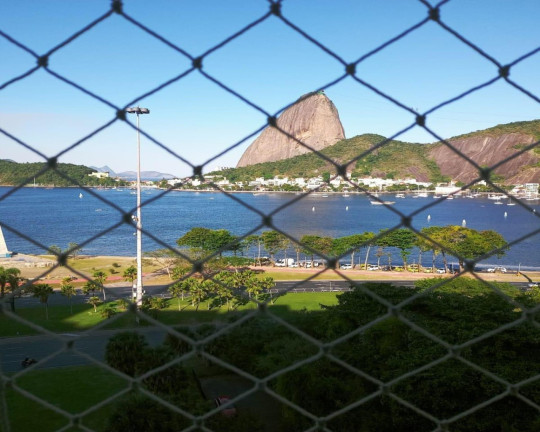 Imagem Imóvel com 4 Quartos à Venda, 290 m² em Flamengo - Rio De Janeiro