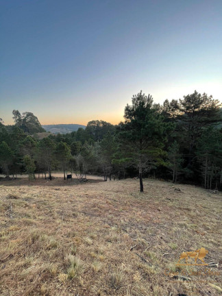 Imagem Terreno à Venda, 1 m² em Campos Do Jordão Imagem Terreno à Venda, 1 m² em Campos Do Jordão