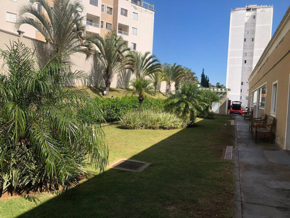 Imagem Apartamento com 3 Quartos à Venda, 60 m² em Jardim Nova Europa - Campinas