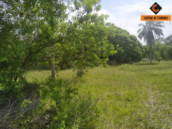 Imagem Terreno à Venda, 25.000 m² em Nova Abrantes (abrantes) - Camaçari Imagem Terreno à Venda, 25.000 m² em Nova Abrantes (abrantes) - Camaçari