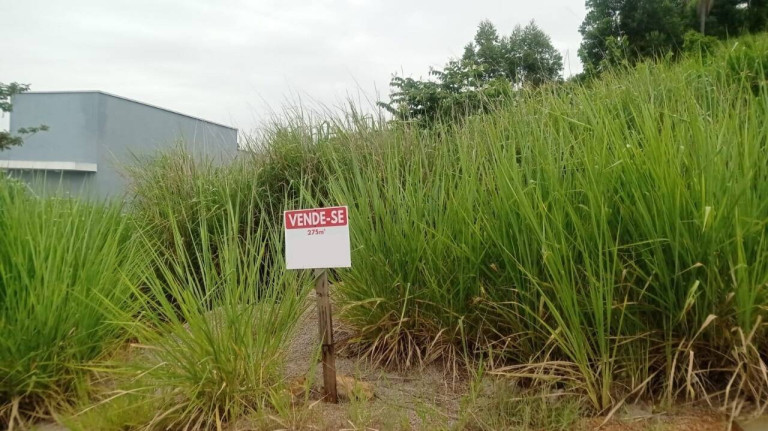 Terreno à Venda, 275 m² em Jardim Das Angélicas - Itupeva
